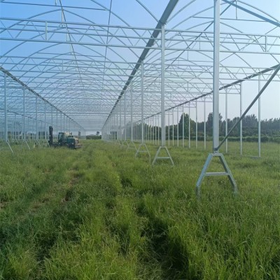 温室大棚建造