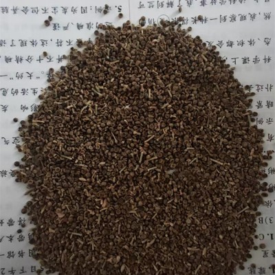 梭梭种子